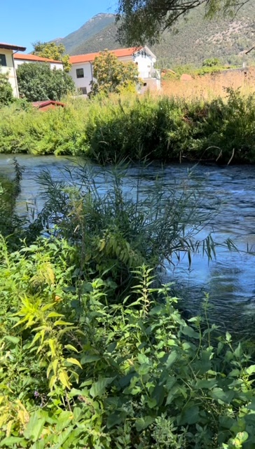 A clear, emerald-green Tirino River flows through a verdant valley lined with ancient willows and poplars under a bright blue sky, with sunlight illuminating the transparent water.