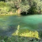 A clear, emerald-green Tirino River flows through a verdant valley lined with ancient willows and poplars under a bright blue sky, with sunlight illuminating the transparent water.