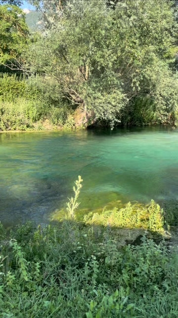 A clear, emerald-green Tirino River flows through a verdant valley lined with ancient willows and poplars under a bright blue sky, with sunlight illuminating the transparent water.