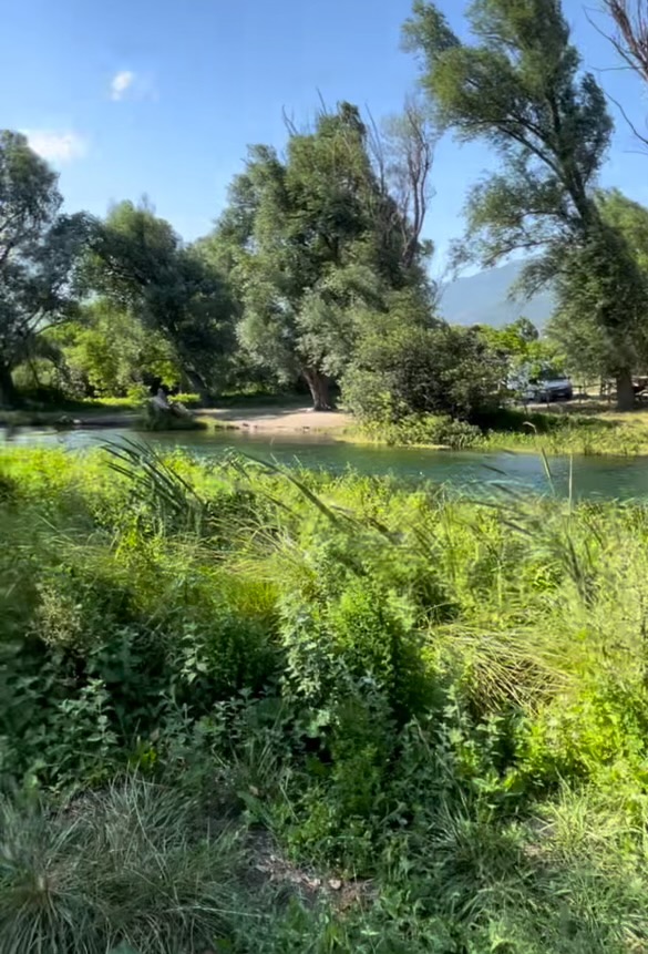 A clear, emerald-green Tirino River flows through a verdant valley lined with ancient willows and poplars under a bright blue sky, with sunlight illuminating the transparent water.