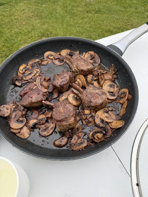 Icelandic lamb dinner we cooked in the tiny kitchen of our campervan during our Iceland Ring Road trip.