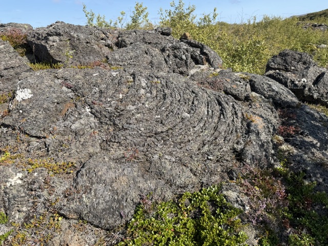 Dry volcanic lava covering the rugged landscape during our Iceland Ring Road trip.