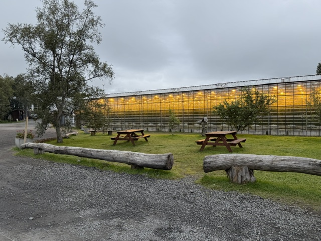 Exterior of the Friðheimar tomato greenhouse restaurant in Iceland during our Ring Road trip.