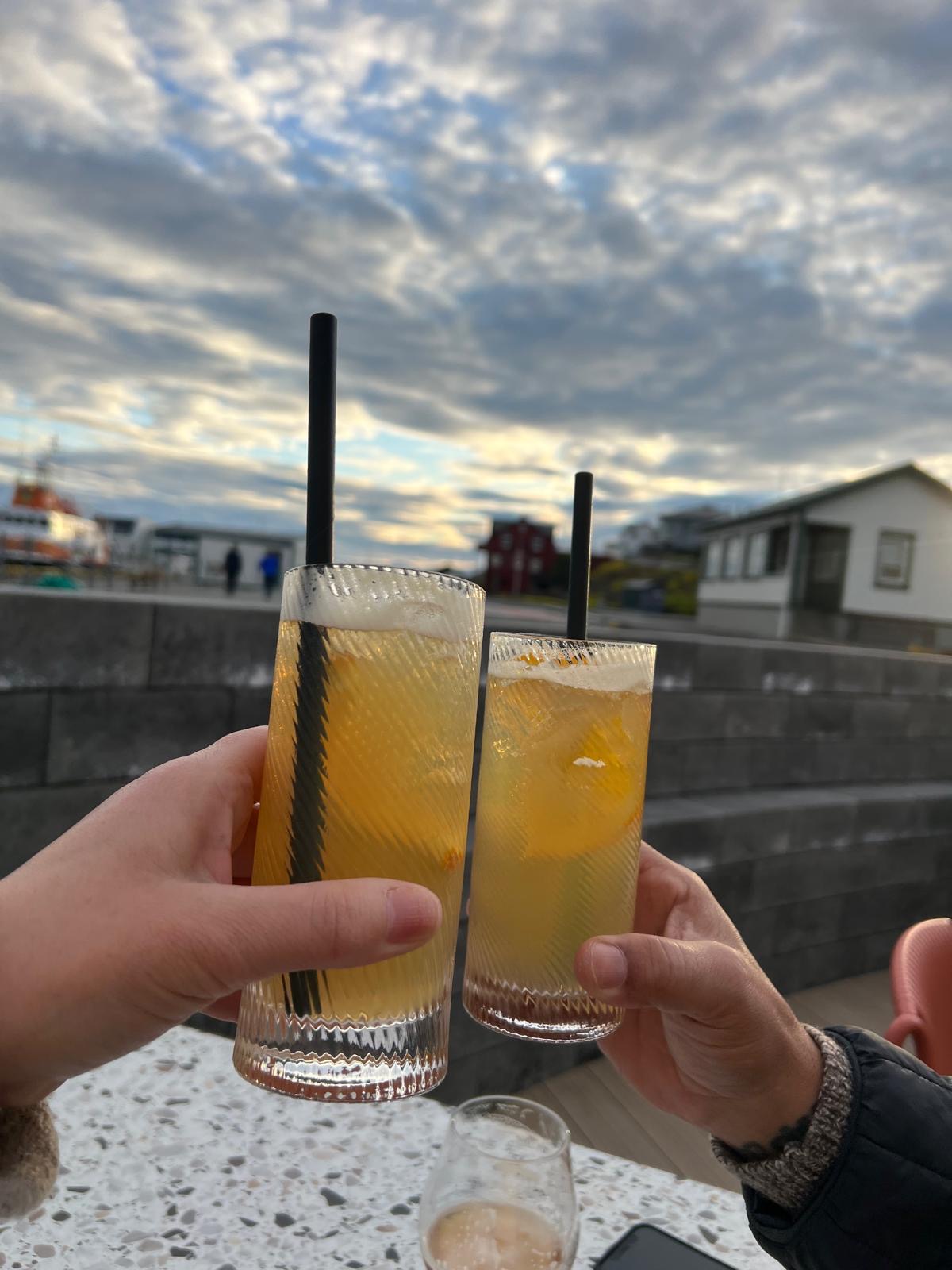 Raising glasses for a farewell toast during our final evening in Reykjavík, Iceland